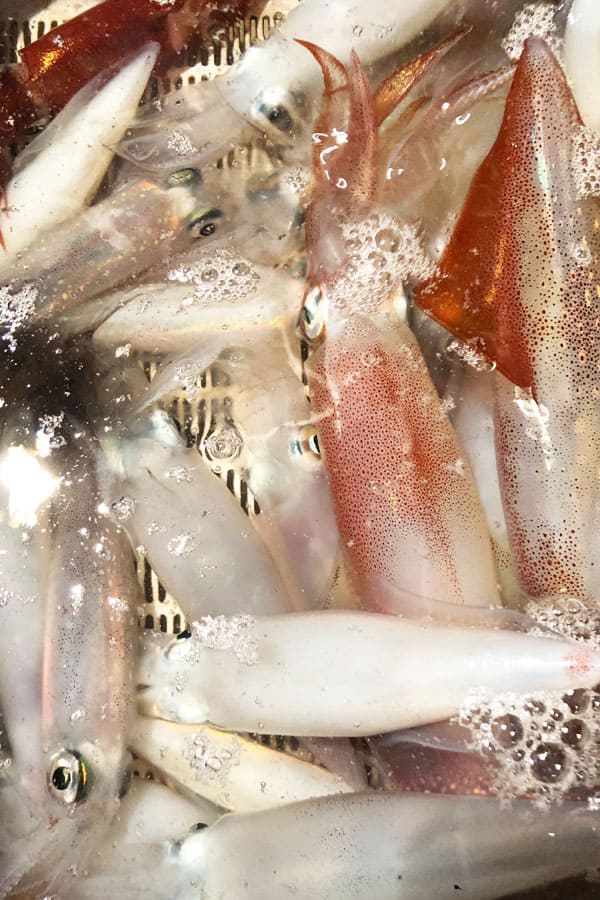釣り部